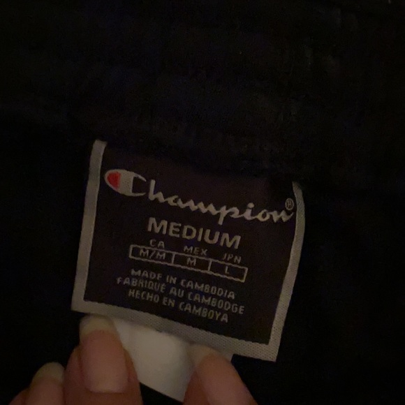 Champion - Picture 3 of 8